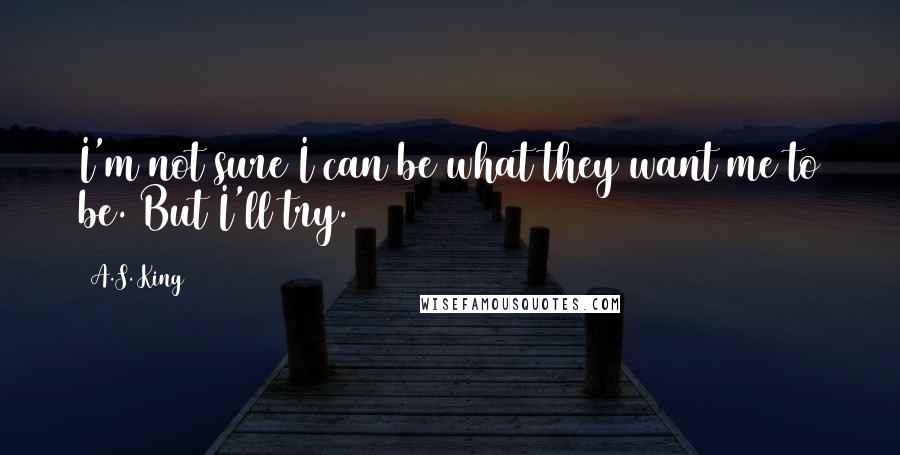 A.S. King Quotes: I'm not sure I can be what they want me to be. But I'll try.