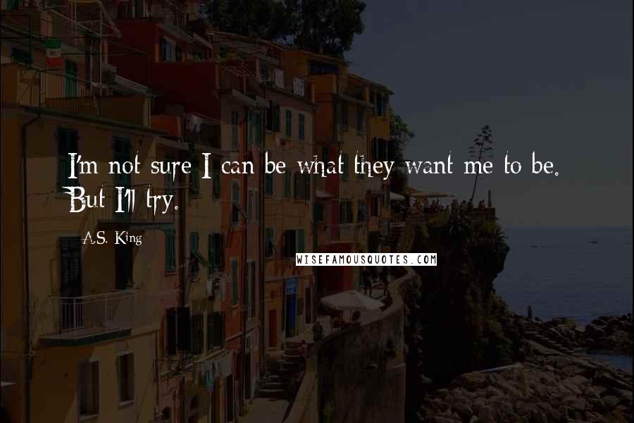 A.S. King Quotes: I'm not sure I can be what they want me to be. But I'll try.
