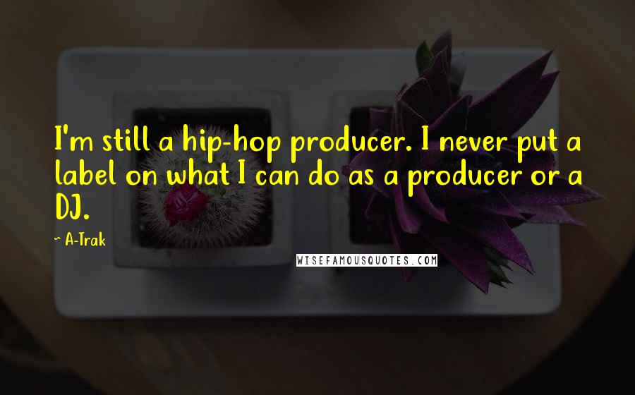 A-Trak Quotes: I'm still a hip-hop producer. I never put a label on what I can do as a producer or a DJ.