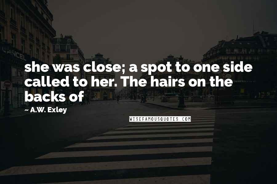 A.W. Exley Quotes: she was close; a spot to one side called to her. The hairs on the backs of