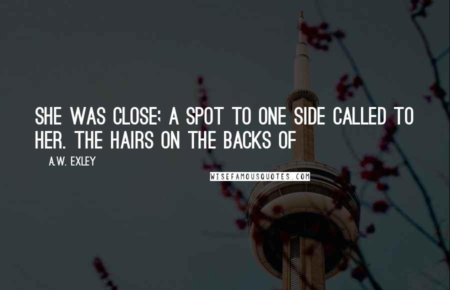 A.W. Exley Quotes: she was close; a spot to one side called to her. The hairs on the backs of