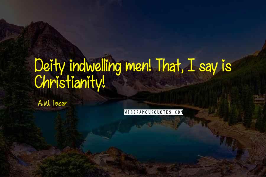 A.W. Tozer Quotes: Deity indwelling men! That, I say is Christianity!