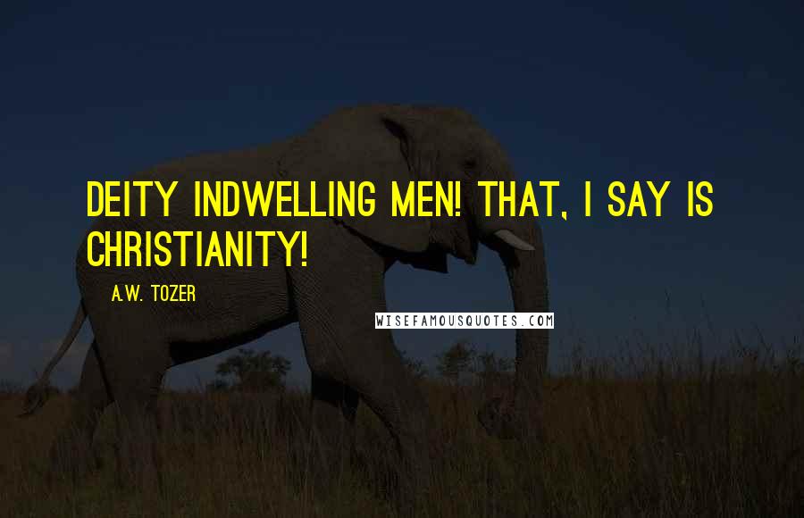 A.W. Tozer Quotes: Deity indwelling men! That, I say is Christianity!