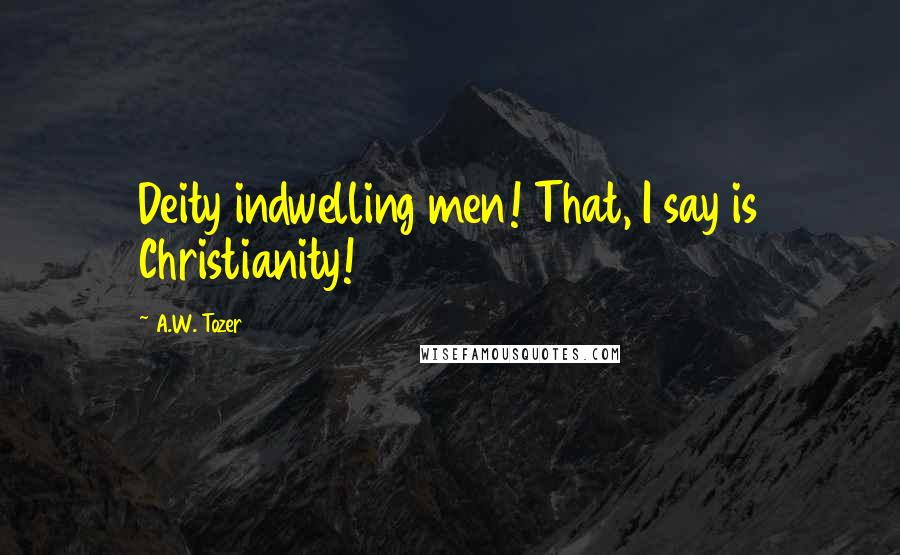 A.W. Tozer Quotes: Deity indwelling men! That, I say is Christianity!