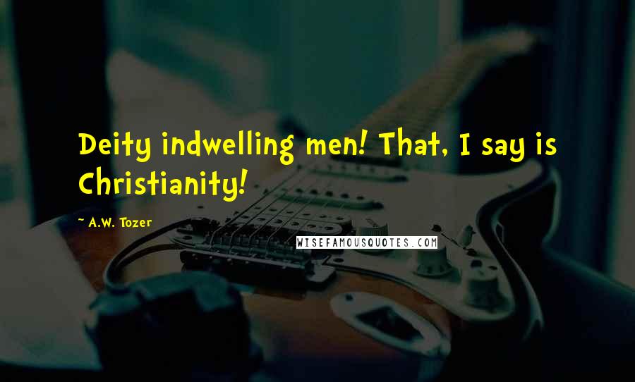 A.W. Tozer Quotes: Deity indwelling men! That, I say is Christianity!