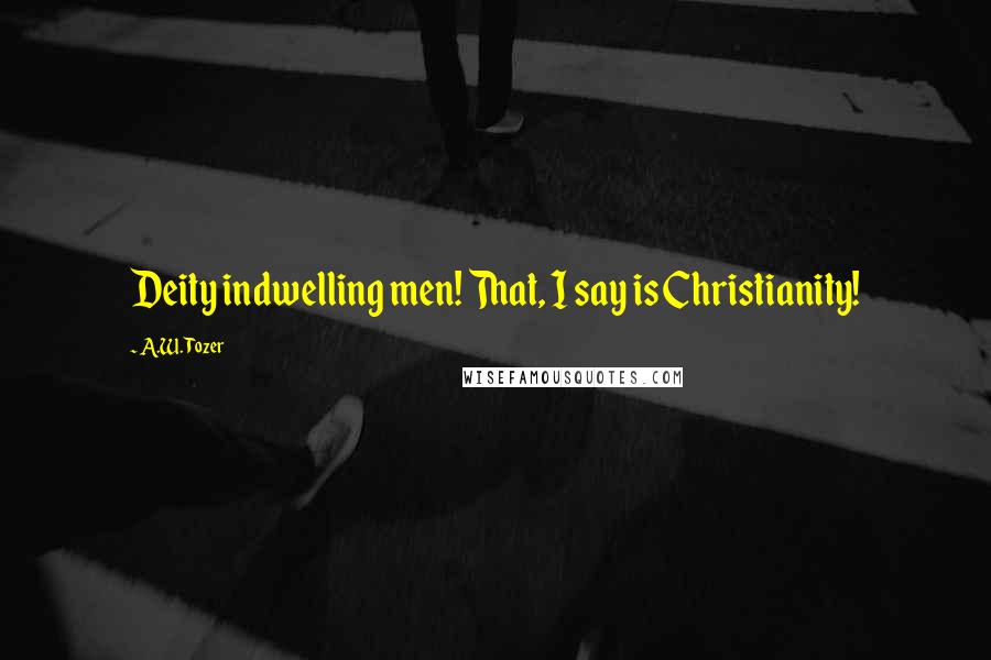 A.W. Tozer Quotes: Deity indwelling men! That, I say is Christianity!