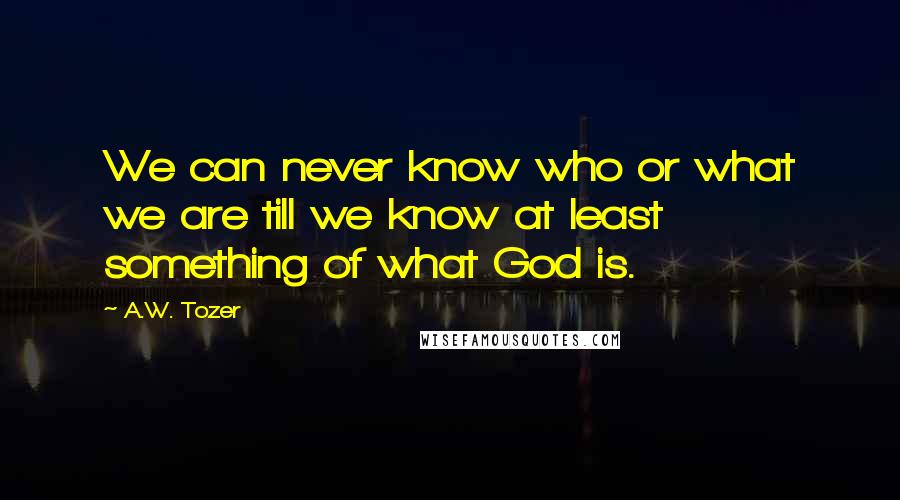 A.W. Tozer Quotes: We can never know who or what we are till we know at least something of what God is.