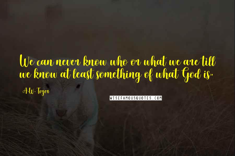 A.W. Tozer Quotes: We can never know who or what we are till we know at least something of what God is.