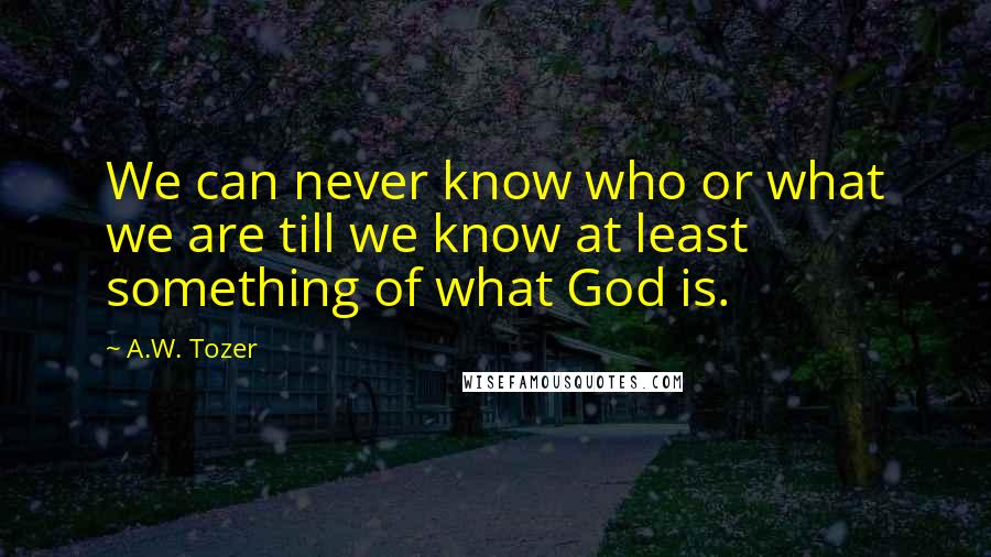 A.W. Tozer Quotes: We can never know who or what we are till we know at least something of what God is.