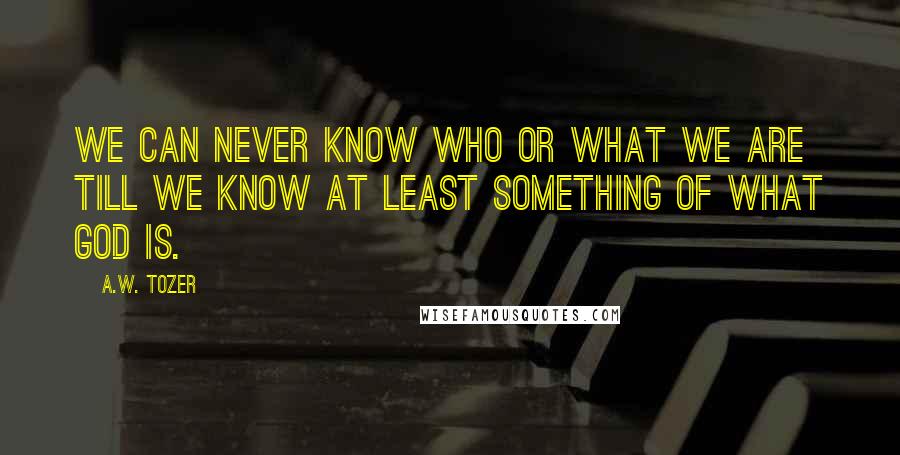 A.W. Tozer Quotes: We can never know who or what we are till we know at least something of what God is.