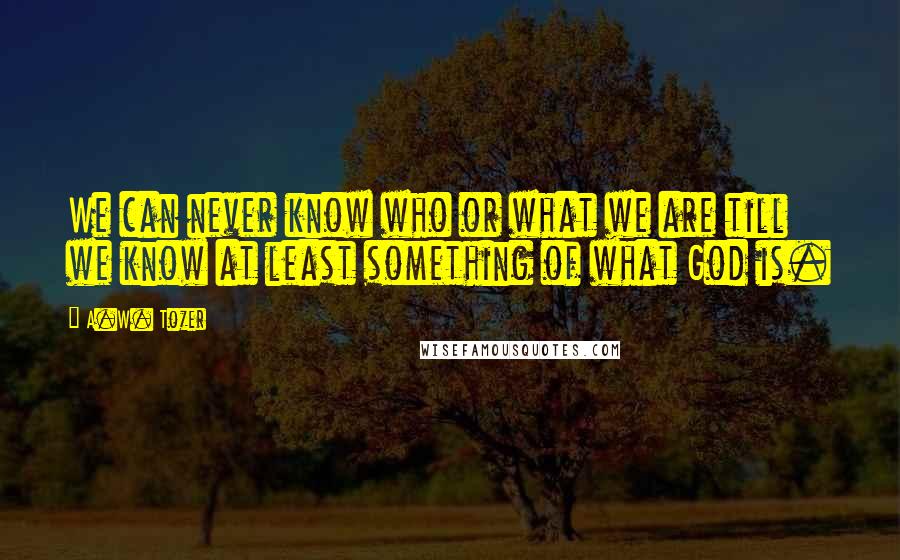 A.W. Tozer Quotes: We can never know who or what we are till we know at least something of what God is.