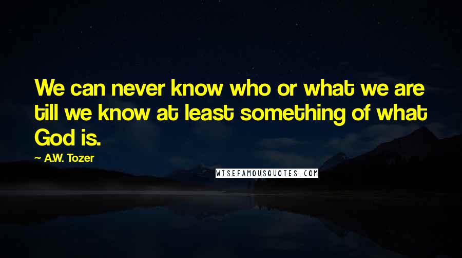 A.W. Tozer Quotes: We can never know who or what we are till we know at least something of what God is.