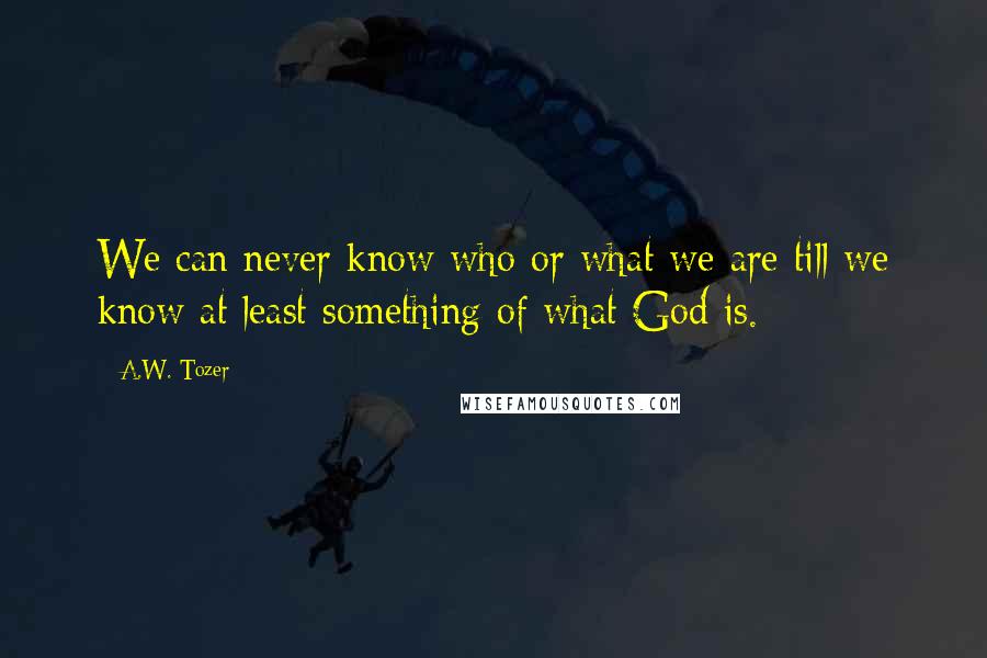 A.W. Tozer Quotes: We can never know who or what we are till we know at least something of what God is.