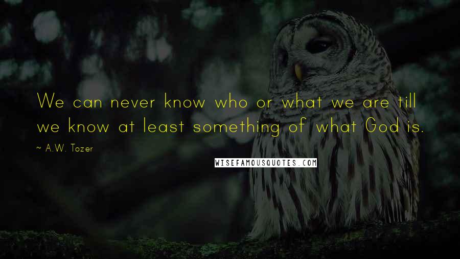 A.W. Tozer Quotes: We can never know who or what we are till we know at least something of what God is.