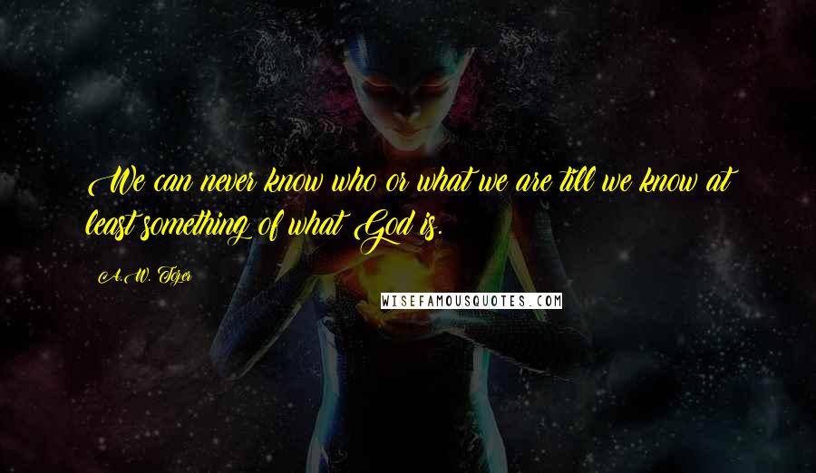 A.W. Tozer Quotes: We can never know who or what we are till we know at least something of what God is.