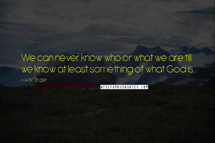 A.W. Tozer Quotes: We can never know who or what we are till we know at least something of what God is.