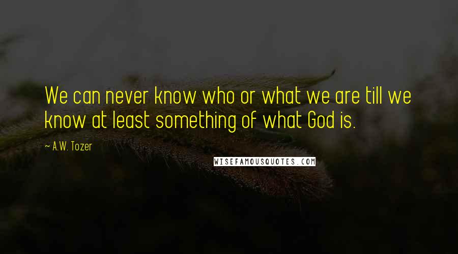 A.W. Tozer Quotes: We can never know who or what we are till we know at least something of what God is.