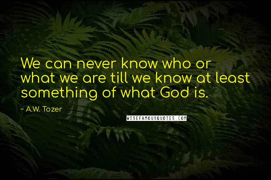 A.W. Tozer Quotes: We can never know who or what we are till we know at least something of what God is.