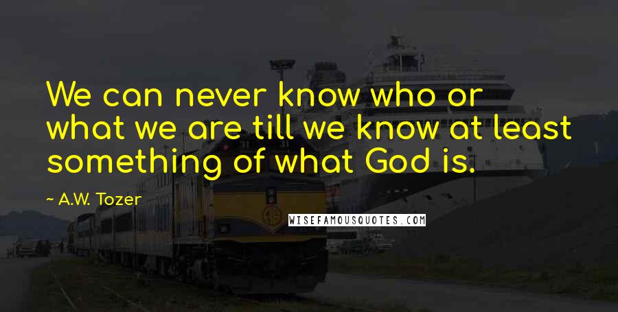 A.W. Tozer Quotes: We can never know who or what we are till we know at least something of what God is.
