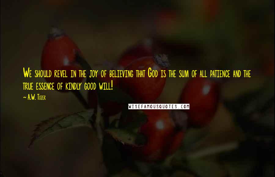 A.W. Tozer Quotes: We should revel in the joy of believing that God is the sum of all patience and the true essence of kindly good will!