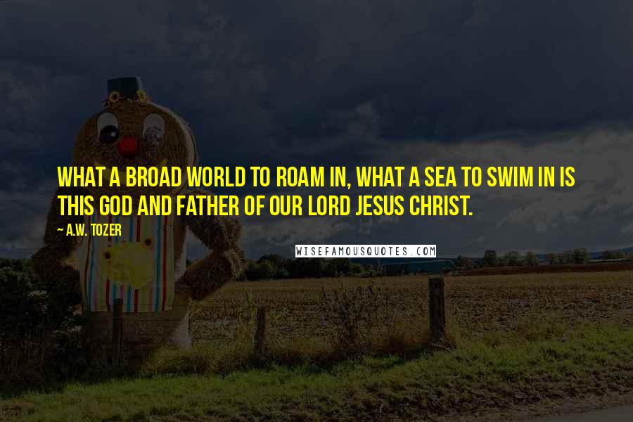 A.W. Tozer Quotes: What a broad world to roam in, what a sea to swim in is this God and Father of our Lord Jesus Christ.