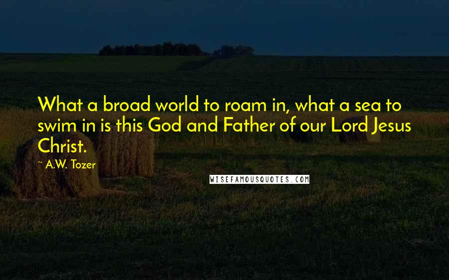 A.W. Tozer Quotes: What a broad world to roam in, what a sea to swim in is this God and Father of our Lord Jesus Christ.