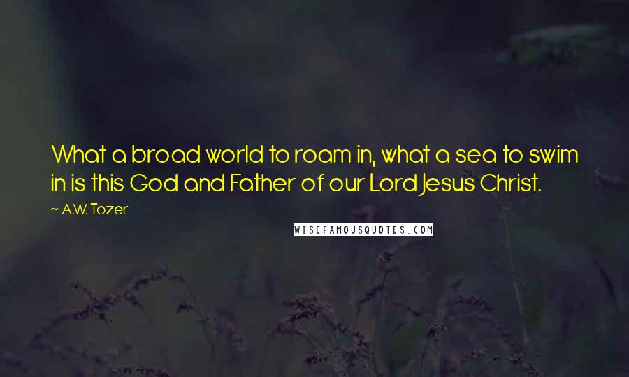 A.W. Tozer Quotes: What a broad world to roam in, what a sea to swim in is this God and Father of our Lord Jesus Christ.