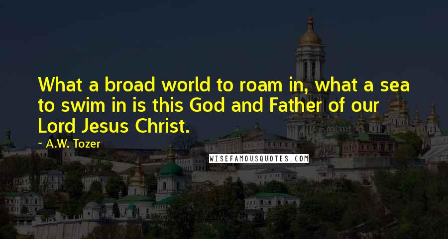 A.W. Tozer Quotes: What a broad world to roam in, what a sea to swim in is this God and Father of our Lord Jesus Christ.