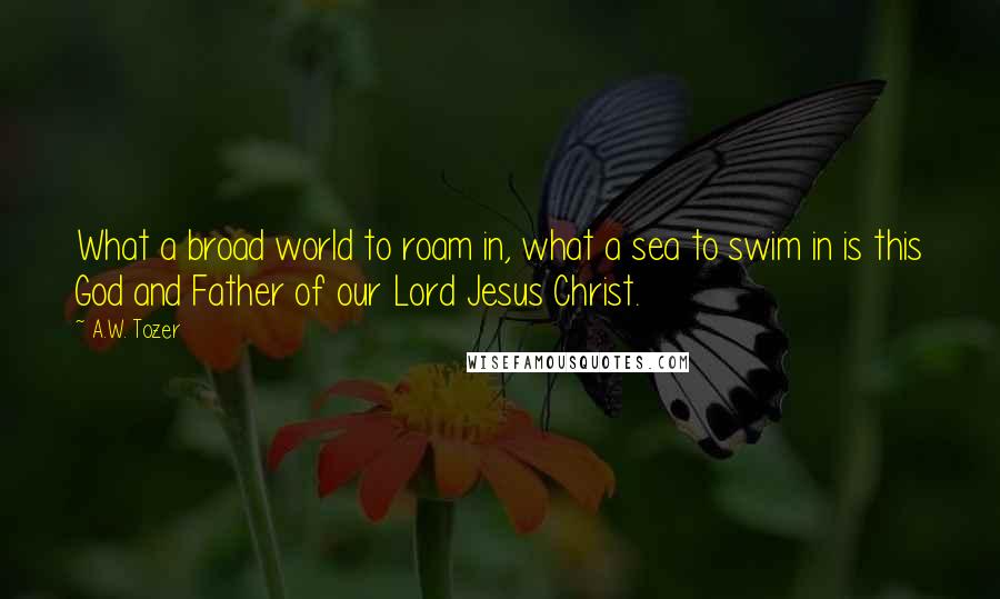 A.W. Tozer Quotes: What a broad world to roam in, what a sea to swim in is this God and Father of our Lord Jesus Christ.