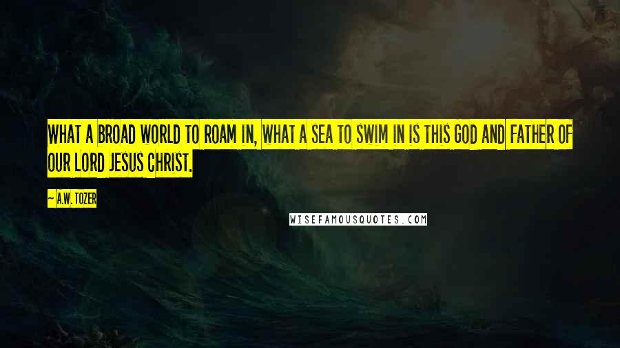 A.W. Tozer Quotes: What a broad world to roam in, what a sea to swim in is this God and Father of our Lord Jesus Christ.