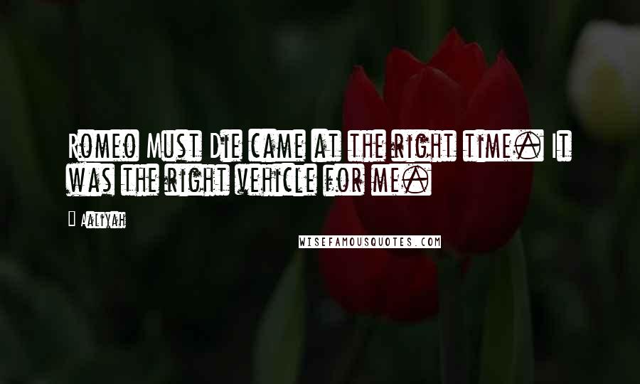 Aaliyah Quotes: Romeo Must Die came at the right time. It was the right vehicle for me.