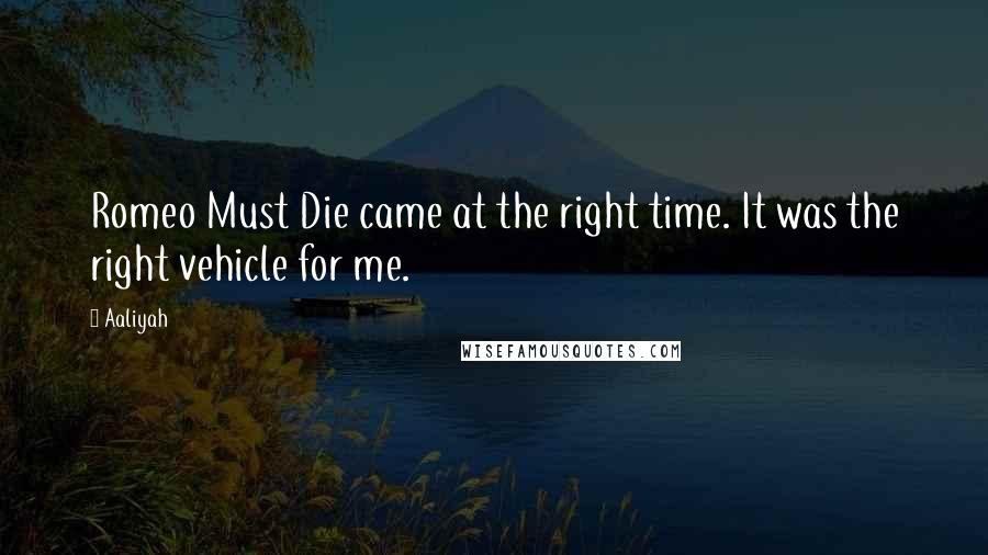 Aaliyah Quotes: Romeo Must Die came at the right time. It was the right vehicle for me.