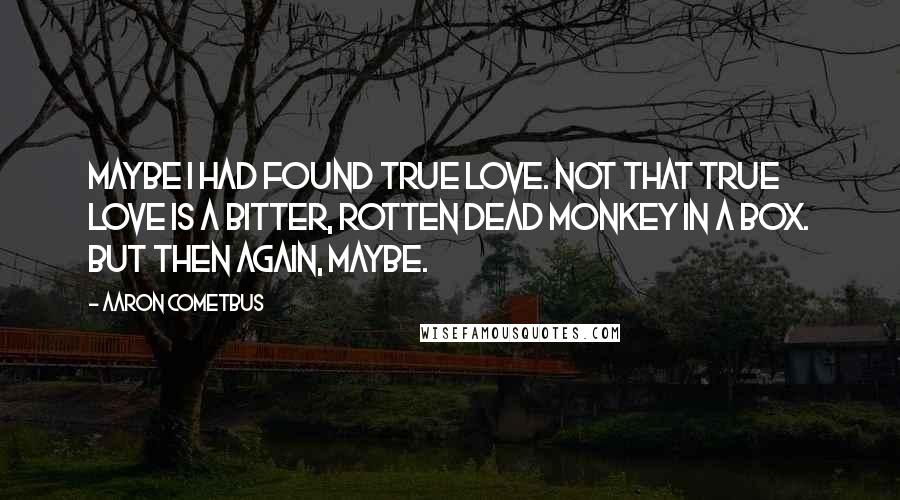Aaron Cometbus Quotes: Maybe I had found true love. Not that true love is a bitter, rotten dead monkey in a box. But then again, maybe.