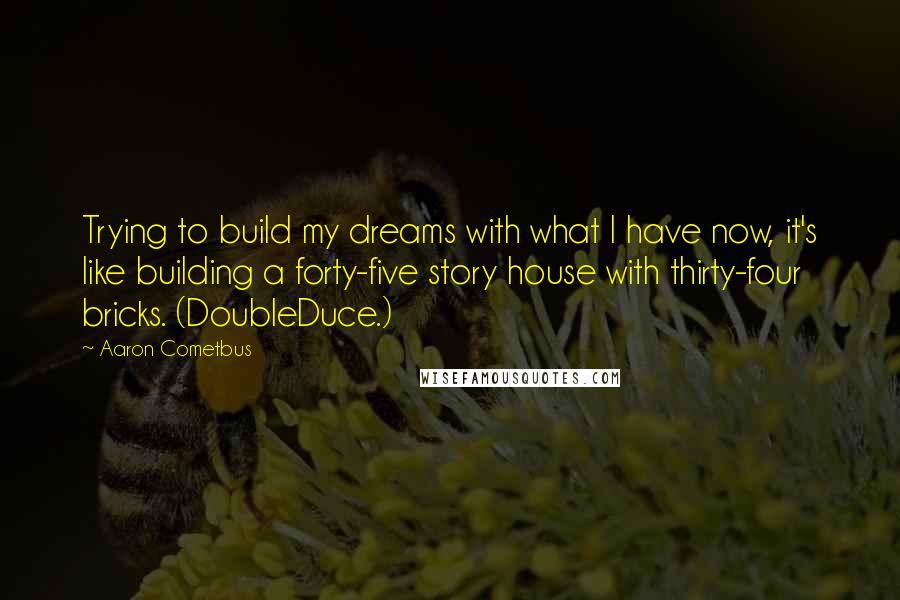 Aaron Cometbus Quotes: Trying to build my dreams with what I have now, it's like building a forty-five story house with thirty-four bricks. (DoubleDuce.)