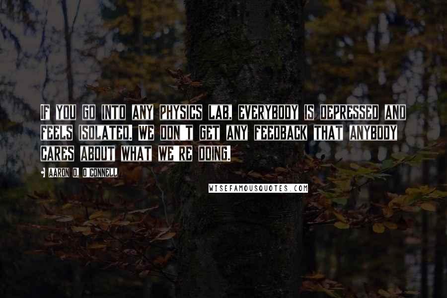 Aaron D. O'Connell Quotes: If you go into any physics lab, everybody is depressed and feels isolated. We don't get any feedback that anybody cares about what we're doing.