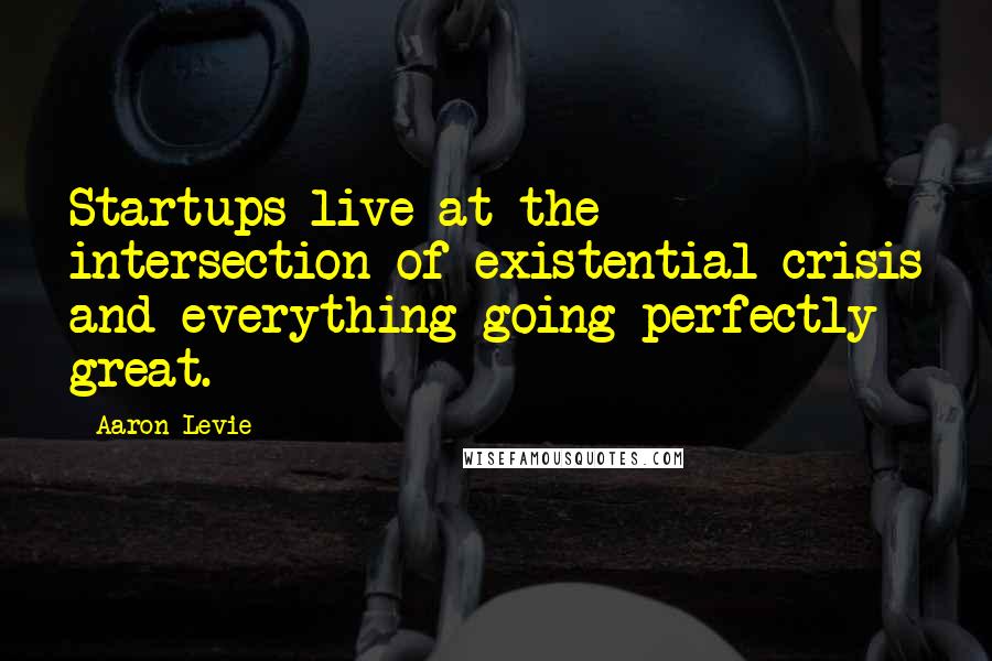 Aaron Levie Quotes: Startups live at the intersection of existential crisis and everything going perfectly great.