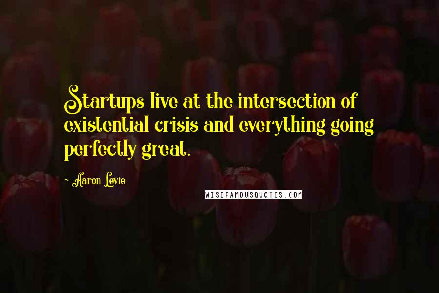 Aaron Levie Quotes: Startups live at the intersection of existential crisis and everything going perfectly great.