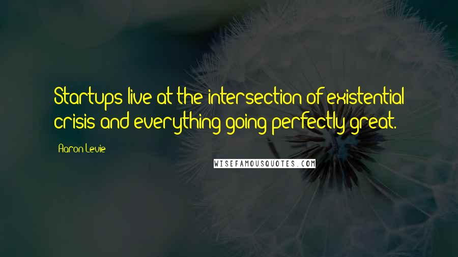 Aaron Levie Quotes: Startups live at the intersection of existential crisis and everything going perfectly great.