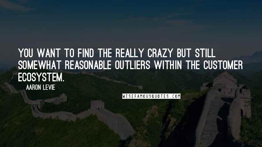 Aaron Levie Quotes: You want to find the really crazy but still somewhat reasonable outliers within the customer ecosystem.