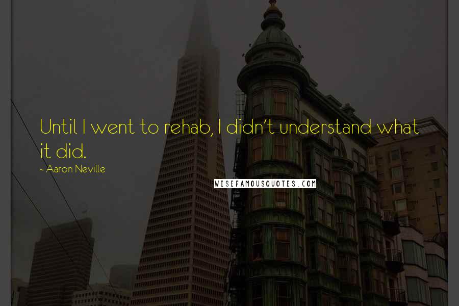 Aaron Neville Quotes: Until I went to rehab, I didn't understand what it did.