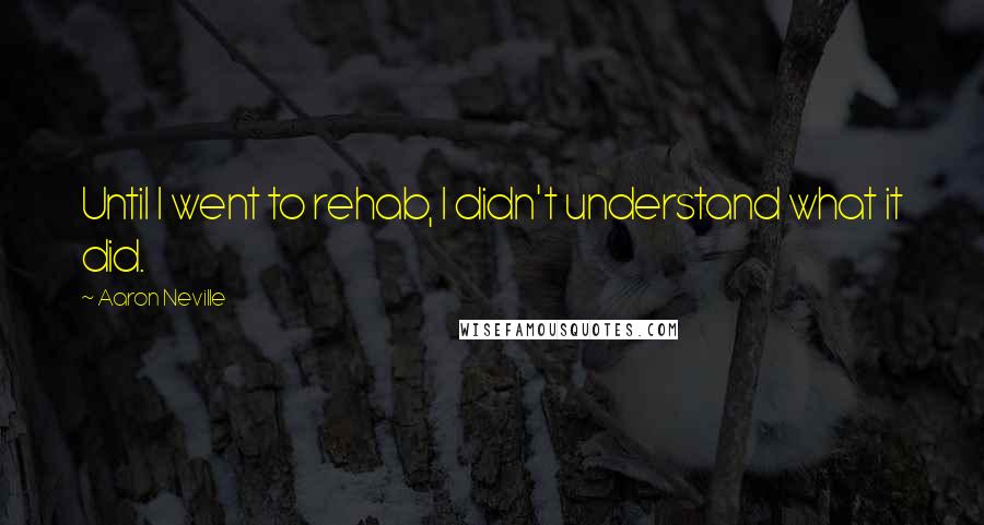 Aaron Neville Quotes: Until I went to rehab, I didn't understand what it did.