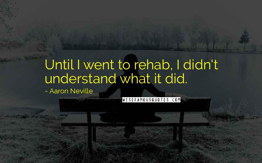 Aaron Neville Quotes: Until I went to rehab, I didn't understand what it did.