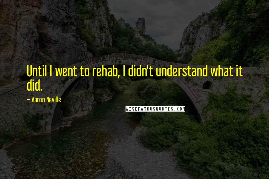 Aaron Neville Quotes: Until I went to rehab, I didn't understand what it did.