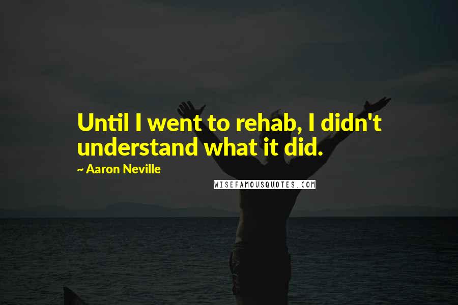 Aaron Neville Quotes: Until I went to rehab, I didn't understand what it did.