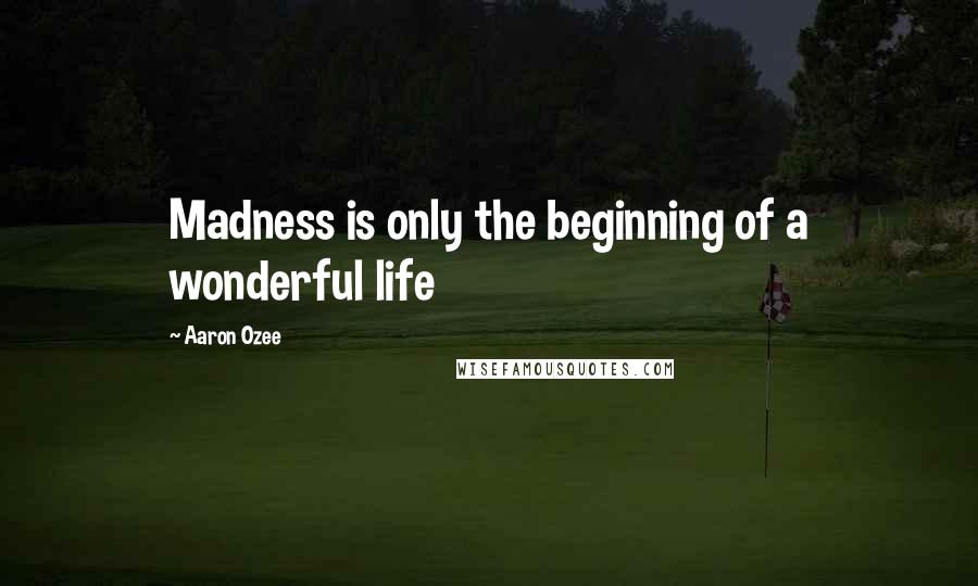 Aaron Ozee Quotes: Madness is only the beginning of a wonderful life