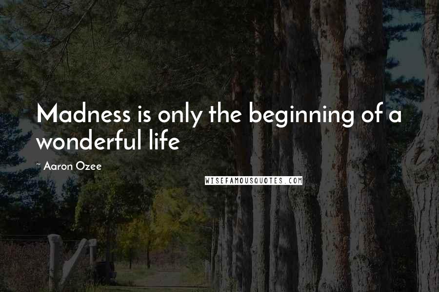 Aaron Ozee Quotes: Madness is only the beginning of a wonderful life