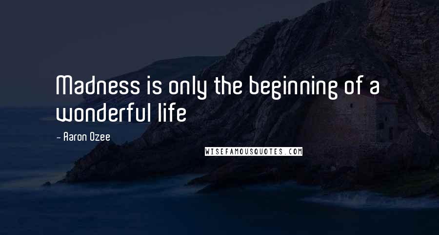 Aaron Ozee Quotes: Madness is only the beginning of a wonderful life