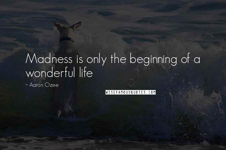 Aaron Ozee Quotes: Madness is only the beginning of a wonderful life