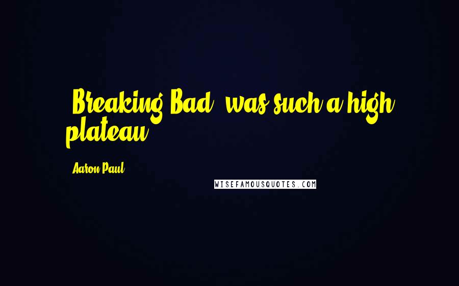 Aaron Paul Quotes: 'Breaking Bad' was such a high plateau.