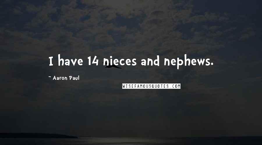 Aaron Paul Quotes: I have 14 nieces and nephews.
